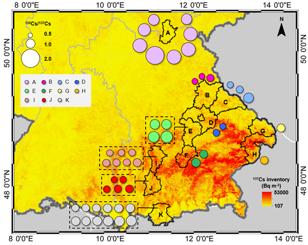德國野豬氾濫卻沒人敢吃：核輻射超標11倍 竟來自核爆炸