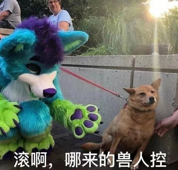 爲了把人變成貓娘 這群黑客把核電實驗室給黑了