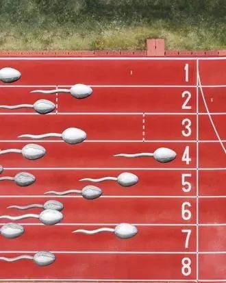 全球首屆精子競賽即將舉行：賽程20釐米先到者贏！