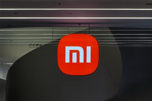 小米在歐盟：加班是一種風險