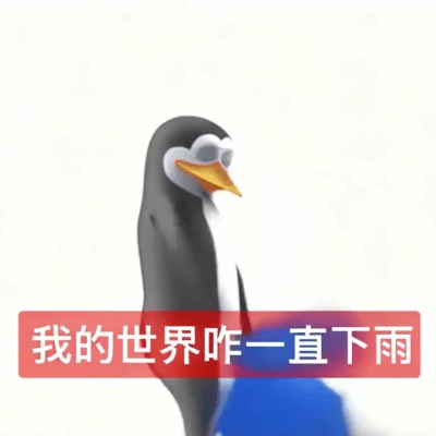 真的想問：下雨天的時候 鳥都在幹什麼呢