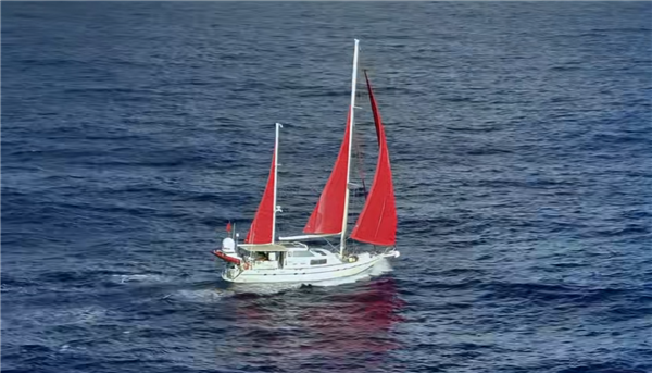 中國航海家環航南極洲途中遭搶劫：帆船遭毀滅性損傷 全船財物被偷走