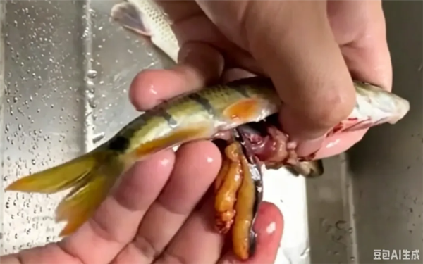 男子吃野生石斑魚籽中毒尚無解藥 醫生：別拿命賭