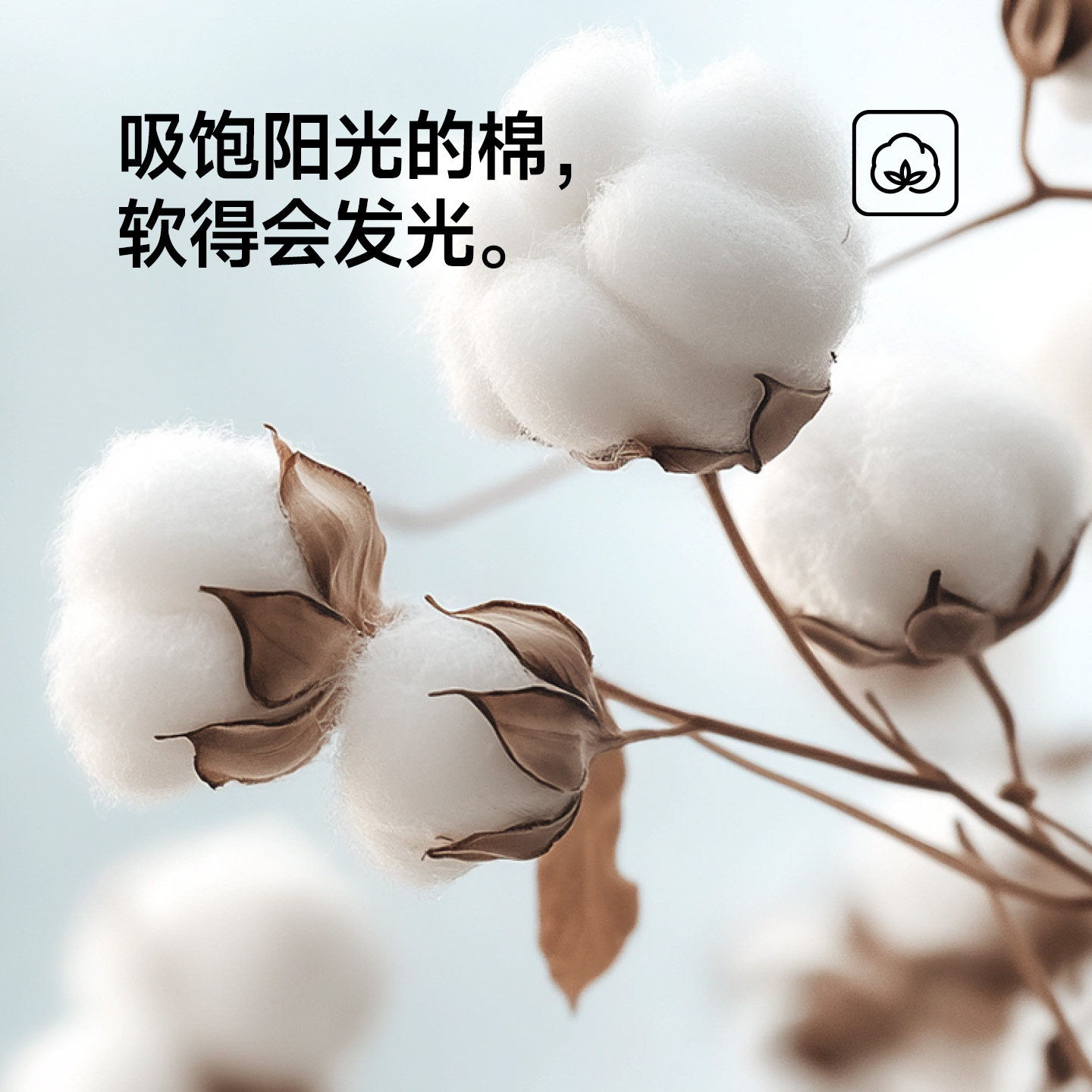 最生活密封純棉毛巾一次性浴巾一次性壓縮毛巾價效比組合裝